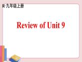 人教版英语九年级下册 Review of Unit 9【课件】