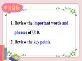 人教版英语九年级下册 Review of Unit 10【课件】