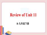 人教版英语九年级下册 Review of Unit 11【课件】