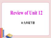 人教版英语九年级下册 Review of Unit 12【课件】