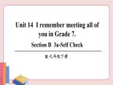 人教版英语九年级下册 Unit 14  第5课时( Section B 3a-Self Check)课件PPT