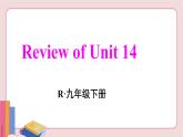 人教版英语九年级下册 Review of Unit 14【课件】