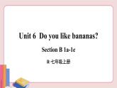 人教版英语七年级上册 Unit 6  第3课时（Section B 1a-1e）【课件+音频】