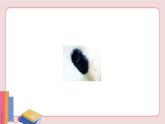 人教版英语七年级下册 Unit 5 Why do you like pandas Section A Grammar Focus-3c【课件+音频】