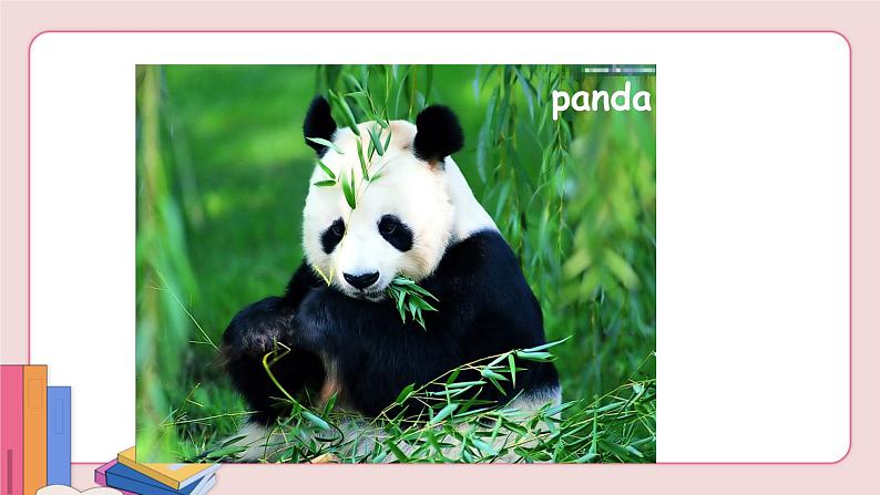 Unit 5 Why do you like pandas Section A Grammar Focus-3c第6页