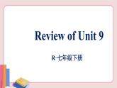人教版英语七年级下册 Review of Unit 9课件PPT