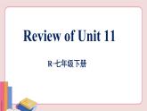 人教版英语七年级下册 Review of Unit 11课件PPT
