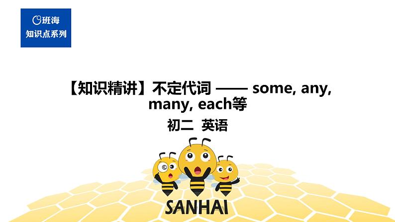 英语八年级【知识精讲】12.代词(4)不定代词——some,any,many,each等 课件01