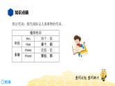 英语九年级【知识精讲】11.代词(3)指示代词 课件