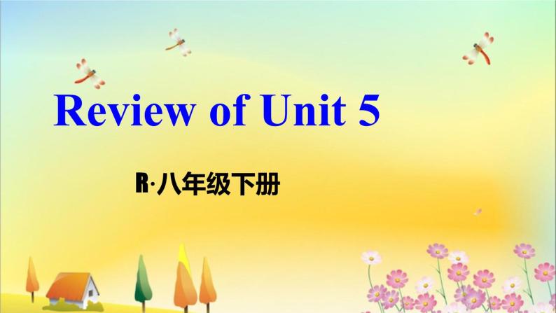 人教版英语八年级下册 Unit 5 Review of Unit 5 PPT课件01