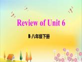 人教版英语八年级下册 Unit 6 Review of Unit 6 PPT课件