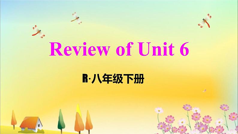 人教版英语八年级下册 Unit 6 Review of Unit 6 PPT课件第1页