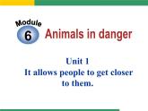 外研版八年级上册Module 6 Animals in dangerUnit 1(共21张PPT)