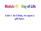 外研版八年级上册 Module 11   Way of Life Unit 1 (共21张PPT)