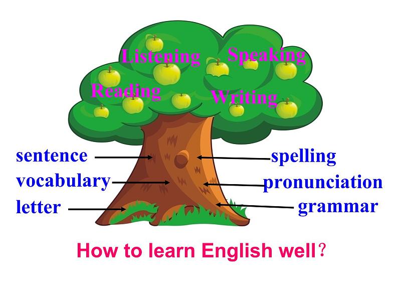 外研八年级上册module1Unit 1 Let's try to speak English as much as possible(共23张PPT)04