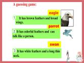 Unit 6 Birdwatching 第4課時 integrated skills & study skills 課件 初中英語牛津譯林版八年級上冊（2021年）