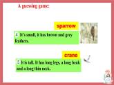 Unit 6 Birdwatching 第4課時 integrated skills & study skills 課件 初中英語牛津譯林版八年級上冊（2021年）
