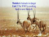 外研八上Module 6 Animals in danger Unit 2 The WWF…ppt 音视频 (共35张PPT)