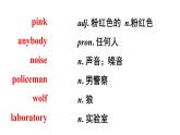 Revision of 人教新目标版九年级英语 Unit 8 It must belong to Carla课件PPT