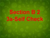 河北省东光县第二中学九年级英语全册 Unit 1 How can we become good learners Section B（3a-self check）课件 （新版）人教新目标版