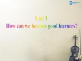 广西贵港市平南县上渡镇大成初级中学九年级英语全册 Unit 1 How can we become good learners Section B1课件 （新版）人教新目标版