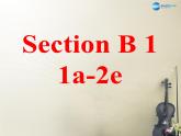 广西贵港市平南县上渡镇大成初级中学九年级英语全册 Unit 1 How can we become good learners Section B1课件 （新版）人教新目标版