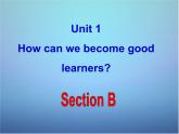 湖北省北大附中武汉为明实验学校九年级英语全册 Unit 1 How can we become good learners Section B课件 （新版）人教新目标版