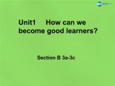 湖北省松滋市涴市镇初级中学九年级英语全册 Unit 1 How can we become good learners Sectoin B 3a-3c课件 （新版）人教新目标版