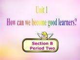 陕西省汉中市佛坪县初级中学九年级英语全册 Unit 1 How can we become good learners Section B课件2 （新版）人教新目标版