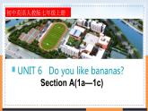 Unit 6 Do you like bananas  Section A(1a—1c)  -2021-2022学年七年级英语上册 人教版 课件（共20张PPT）