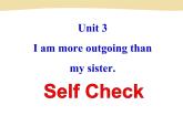 unit 3 Sectoon B  Self Check课件PPT