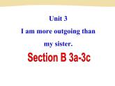 unit 3 Section B 3a-3c课件PPT
