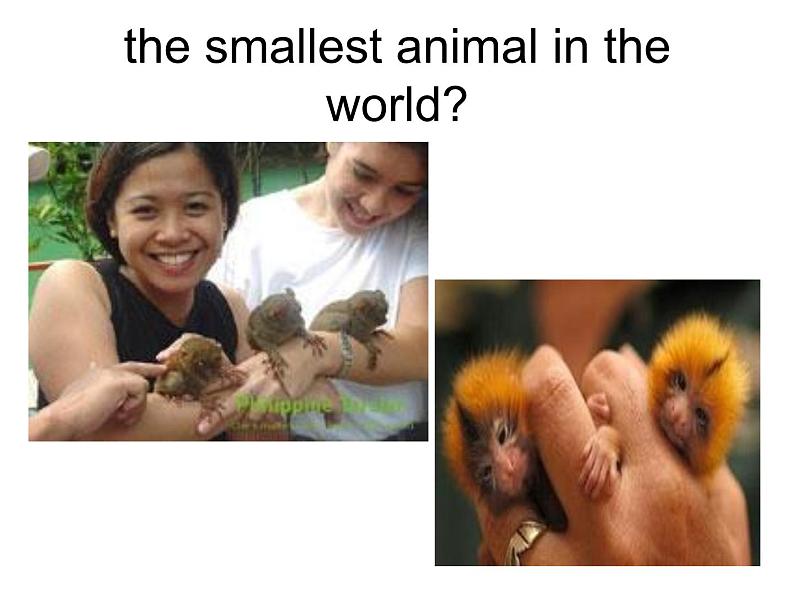 U4.section A 2d课件PPT06