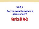 U-5 Section B-3a-3c课件PPT