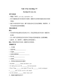 人教新目标 (Go for it) 版七年级下册Section B学案及答案