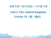 北师大版英语七下Unit 6《Lesson 18 An Animal Story》第1课时课件