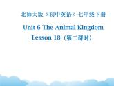 北师大版英语七下Unit 6《Lesson 18 An Animal Story》第2课时课件