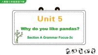 人教新目标 (Go for it) 版七年级下册Unit 5 Why do you like pandas?Section A教案配套ppt课件