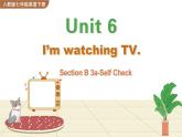 人教版英语七年级下册 Unit 6 Section B 3a-Self Check PPT课件