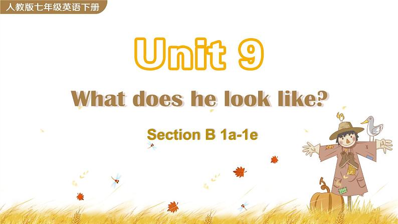 Unit 9 Section B 1a-1e第1页