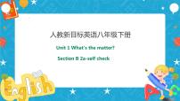 初中人教新目标 (Go for it) 版Section B优秀ppt课件