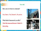 Unit 9 Have you ever been to a museum Section A Grammar focus -4c (课件+同步练习+教案设计+视频)
