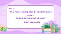 初中英语人教新目标 (Go for it) 版八年级下册Unit 5 What were you doing when the rainstorm came?Section B教课ppt课件
