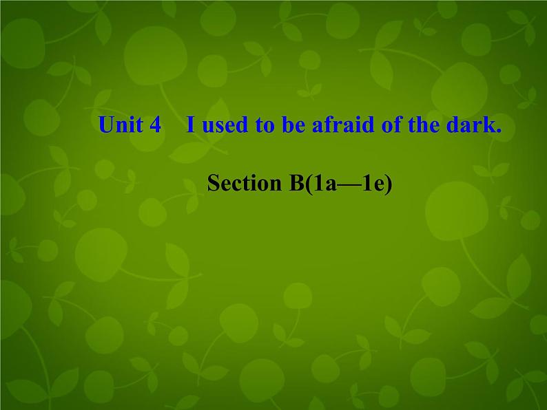 河北省东光县第二中学九年级英语全册 Unit 4 I used to be afraid of the dark Section B（1a-1e）课件第1页