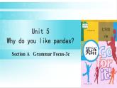 人教版英语七年级下册 Unit 5 第2课时（A Grammar Focus-3c） 教学课件+教案