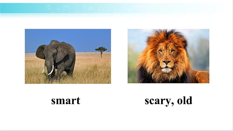 人教版英语七年级下册 Unit 5 第3课时（B 1a-1d） 教学课件+教案+音频素材05