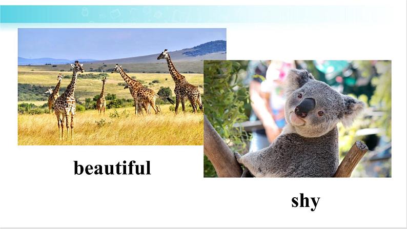 人教版英语七年级下册 Unit 5 第3课时（B 1a-1d） 教学课件+教案+音频素材06