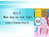 人教版英语七年级下册 Unit 9 第2课时（A Grammar Focus-3d） 教学课件+教案+音频素材