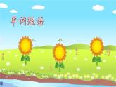 人教版英語七年級(jí)下冊(cè) Review of Unit 11 教學(xué)課件