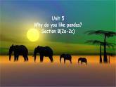 Unit 5 Why do you like pandas Section B(2a-2c)  -2021-2022学年七年级英语下册 人教版 课件（共39张PPT）